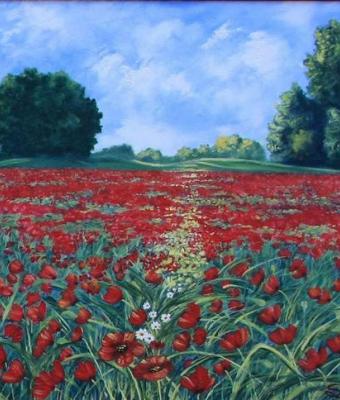 papaveri-al-campo
