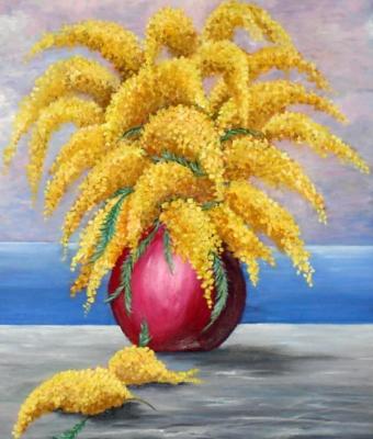 una-mimosa-sul-mare
