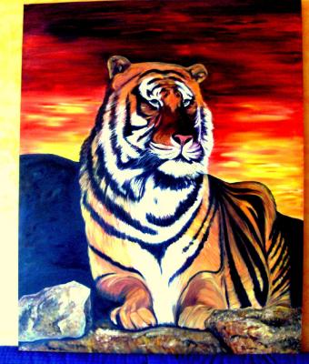 il-felino-colori-reali