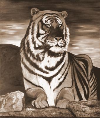 il-felino