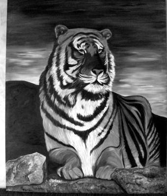 il-felino