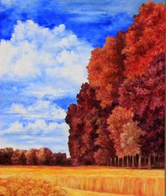 campo-di-grano