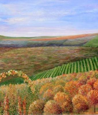 il-vigneto