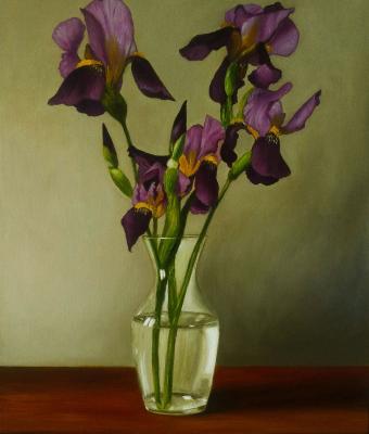 iris