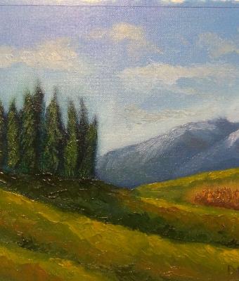 i-cipressi-della-val-d-orcia