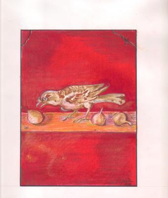 riproduzione-uccellino-con-fic