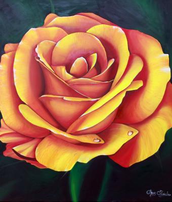 flora