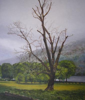 il-ciclo-della-natura