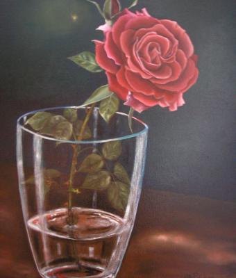 rosa-rossa