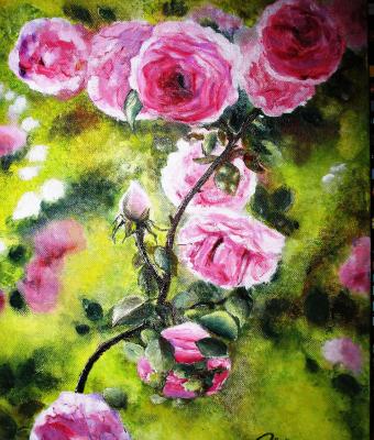 rose