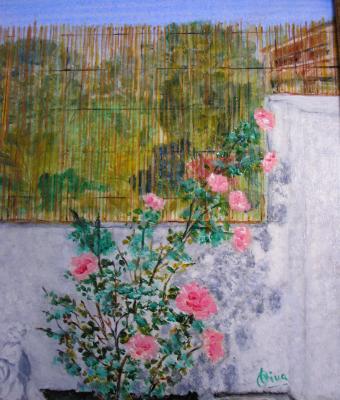 rose-in-giardino