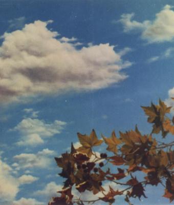 cielo-e-terra