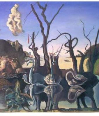 cigni-riflettono-elefanti