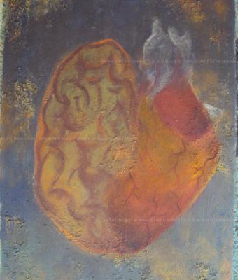 heart-or-brain