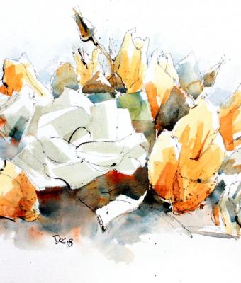 fiorifoglie-soldvenduto
