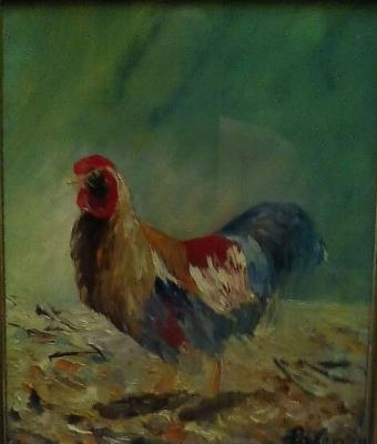 gallo