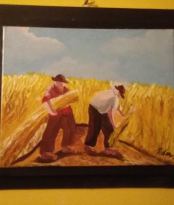 raccolta-del-grano
