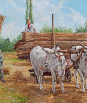 scena-campestre