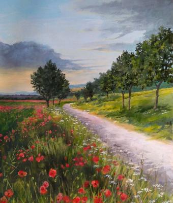 strada-con-papaveri