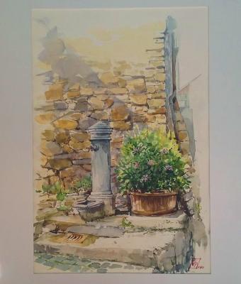 pisoniano-nasone-con-tino-fi