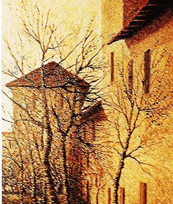 la-torretta