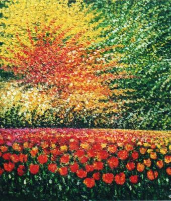 tulipani