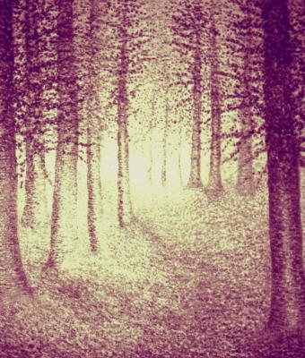 nel-bosco