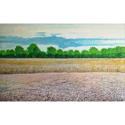 campagna