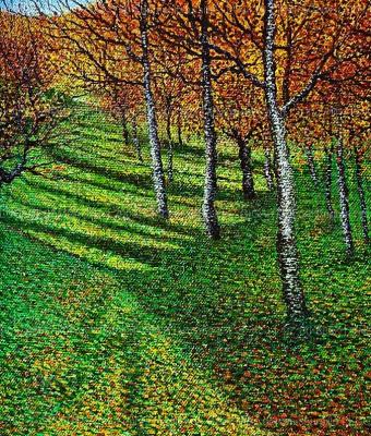 luci-in-campagna