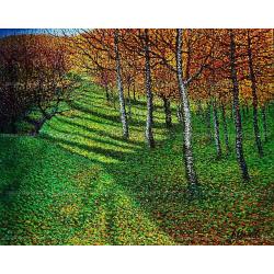 luci-in-campagna