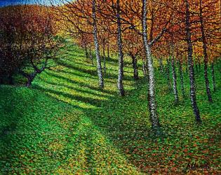luci-in-campagna