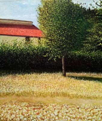 in-campagna