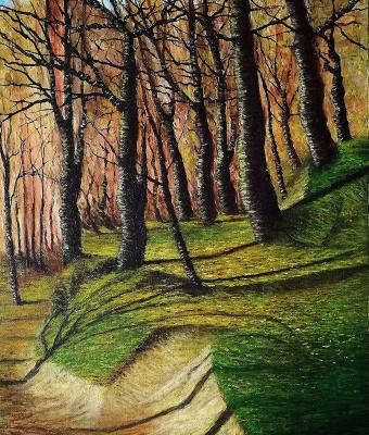 luci-nel-bosco