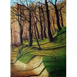luci-nel-bosco