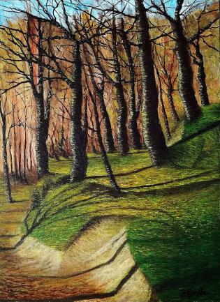 luci-nel-bosco