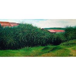 paesaggio