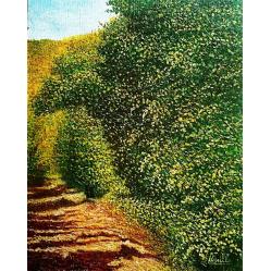 paesaggio