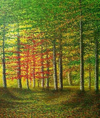 nel-bosco