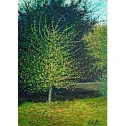 nel-giardino-della-nonna
