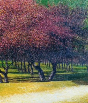 nel-parco