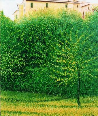 paesaggio