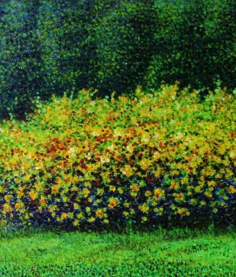 fiori