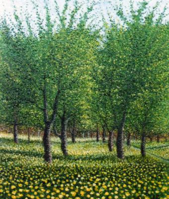 fiori-in-campagna