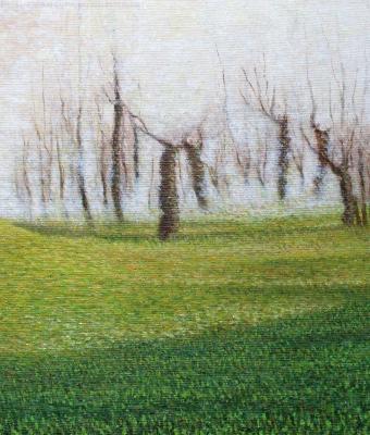 nebbia-in-campagna
