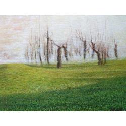 nebbia-in-campagna