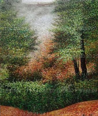 nebbia