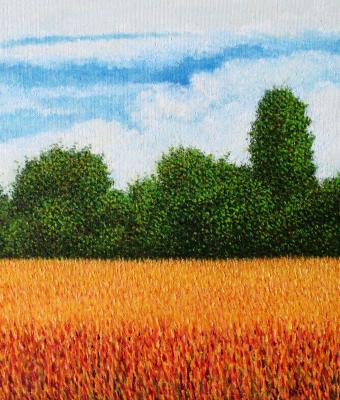 campo-di-grano