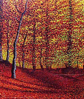 bosco-in-autunno