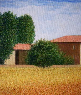 campo-di-grano-maturo