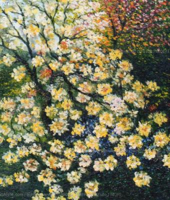 fiori